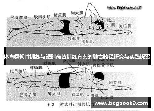 体育柔韧性训练与短时高效训练方案的融合路径研究与实践探索